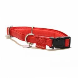 Collar Nylon Regulable Rojo 10mmx20/35cm