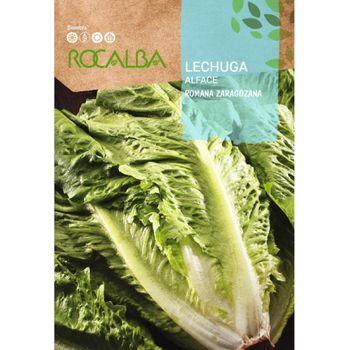 Rocalba Semillas Lechuga Romana Zaragozana 10 Gr, Pack 5 Sobres