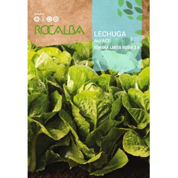 Rocalba Semillas Lechuga Romana Larga Rubia S.n. 10 Gr, Pack 5 Sobres