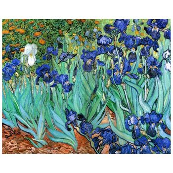 Cuadro Lienzo, Impresión Digital - Lirios - Vincent Van Gogh - Decoración Pared  Cm. 80x100