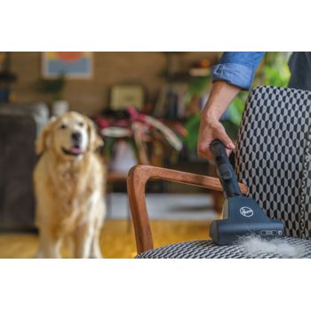 Comprar Hoover H-Power 700 - Potencia 850 W - Aspiradora sin bolsa