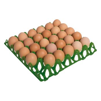 Bandeja Plástica Para 30 Huevos 30x30x5 Cm
