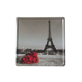 Cuadro De Metal Impreso Vintage Flowers Paris 20x20