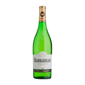 Barbadillo Vino Blanco Castillo San Diego Vino Joven Botella Magnum 1,5 L 13% Vol.