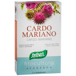 Santiveri Cardo Mariano Fitocultura 40caps