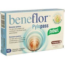 Santiveri Beneflor Pylopass Capsulas 15 G