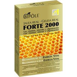 Intersa Bipole Jalea Forte 2000 20 Amp