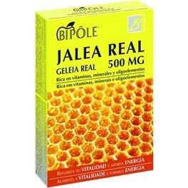 Intersa Bipole Jalea Real 500mg 20 Amp