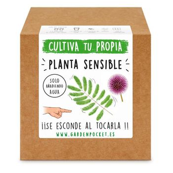 Kit Siembra Planta Sensible Garden Pocket