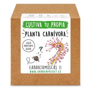 Kit Siembra Planta Carnívora Drosera Garden Pocket