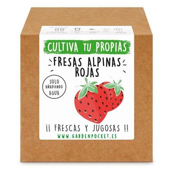 Kit Siembra Fresas Alpinas Rojas Garden Pocket