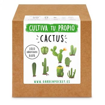 Kit Siembra Cactus Garden Pocket