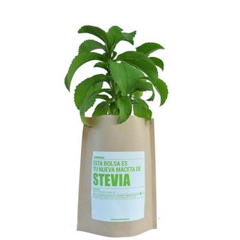 Kit Huerto Stevia Garden Pocket