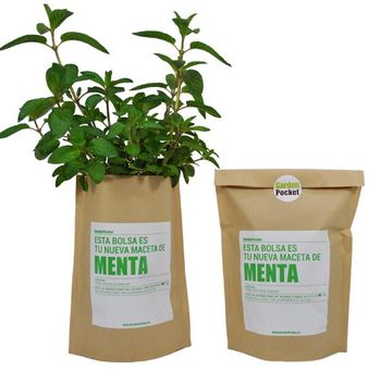 Kit Huerto Menta Garden Pocket