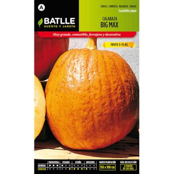 Semillas De Calabaza Big Max