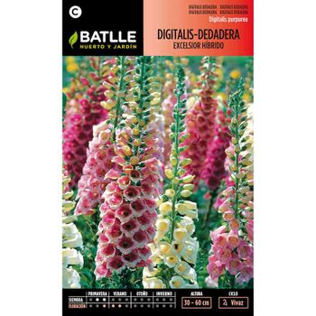 Semillas De Digitalis-dedalera Excelsior Híbrido