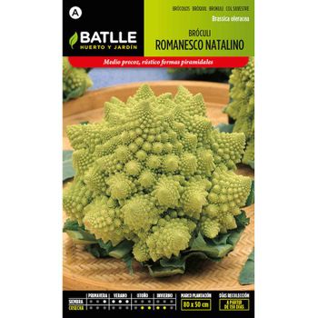 Semillas De Bróculi Romanesco Natalino