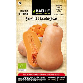 Semillas Ecológicas De Calabaza Butternut