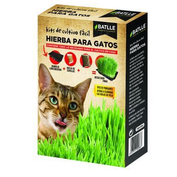 Kit Cultivo Mix Hierba Para Gatos Batlle