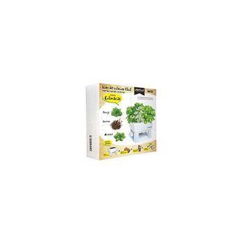 Seed Box 30x30 Culinarias Batlle