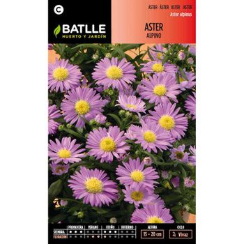 Semillas De Aster Alpino