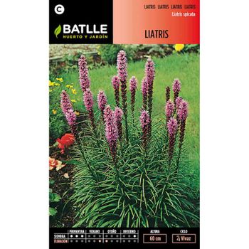 Semillas De Liatris