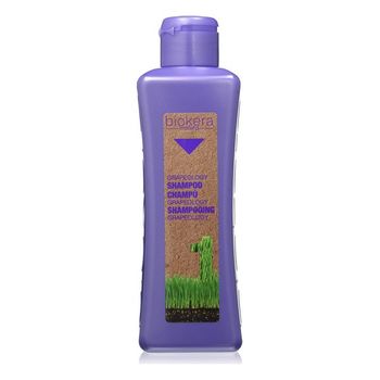 Champú Limpieza Profunda Biokera Grapeology Salerm (300 Ml)