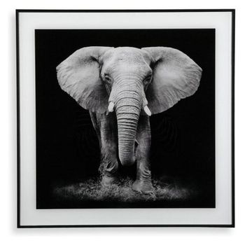 Cuadro Elephant (2 X 50 X 50 Cm)