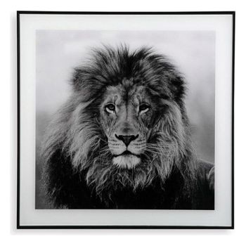 Cuadro León Cristal (2 X 50 X 50 Cm)