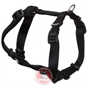 Arnes Perro Nylon Negro 33-45 Cm - Arppe - 2241011009