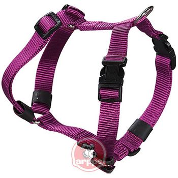 Arnes Perro Nylon Morado 33-45 Cm - Arppe - 2241011011..