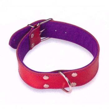 Collar Cuero Superfelt Color - Xl