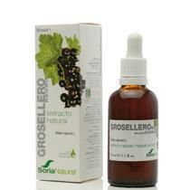 Extracto De Grosellero Negro Soria Natural, 50 Ml