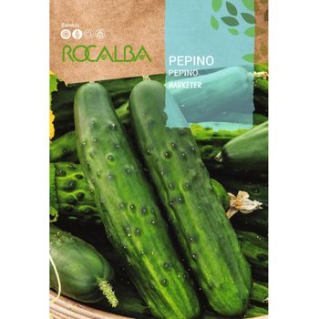 Rocalba Semilla Pepino Marketer 100g