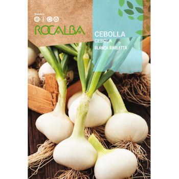 Rocalba Semilla Cebolla Blanca Barletta-temprana 100g