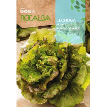 Rocalba Semilla Lechuga Maravilla De Verano 100g