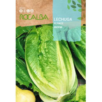 Rocalba Semilla Lechuga Romana Inverna 500g