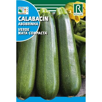 Semillas De Calabacín Verde Mata Compacta