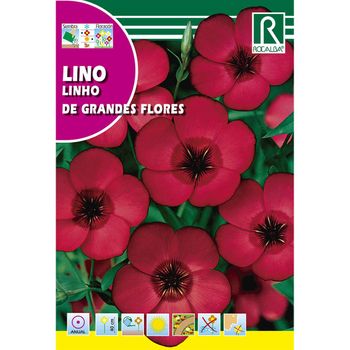 Semillas De Lino De Grandes Flores, Rojo