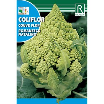 Semillas De Coliflor Romanesco Natalino