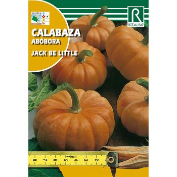 Semillas De Calabaza Jack Be Little