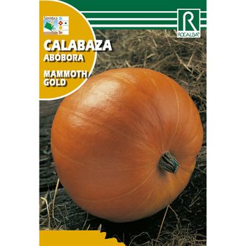 Semillas De Calabaza Mammouth Gold