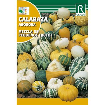 Semillas De Calabaza Mezcla De Pequeños Frutos