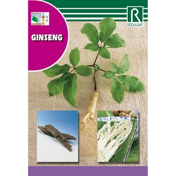 Semillas De Ginseng