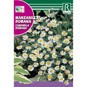 Semillas De Manzanilla Romana