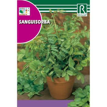 Semillas De Sanguisorba