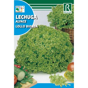 Semillas De Lechuga Lollo Bionda