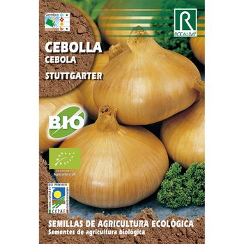 Semillas De Cebolla Stuttgarter