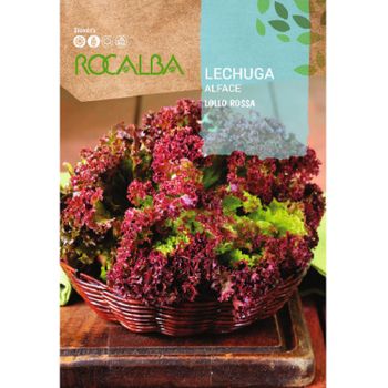 Rocalba Semilla Lechuga Lollo Rossa 100g