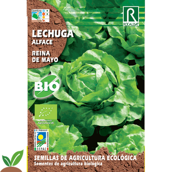 Sobre De Semillas Lechuga Reina De Mayo Eco